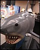 IMG_5488.JPG