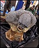 IMG_5496.JPG