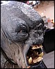 IMG_5501.JPG