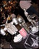 IMG_5682.JPG