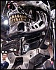 IMG_5699.JPG