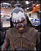 IMG_4964.JPG