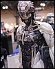 IMG_7594.JPG