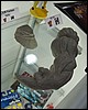 IMG_5881.JPG