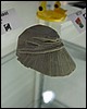 IMG_5882.JPG