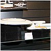 IMG_8712.JPG