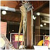 IMG_3607.JPG