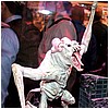 IMG_9357.JPG