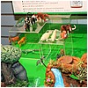 IMG_2923.JPG