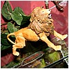 IMG_2775.JPG