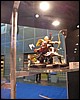 IMG_7565.JPG